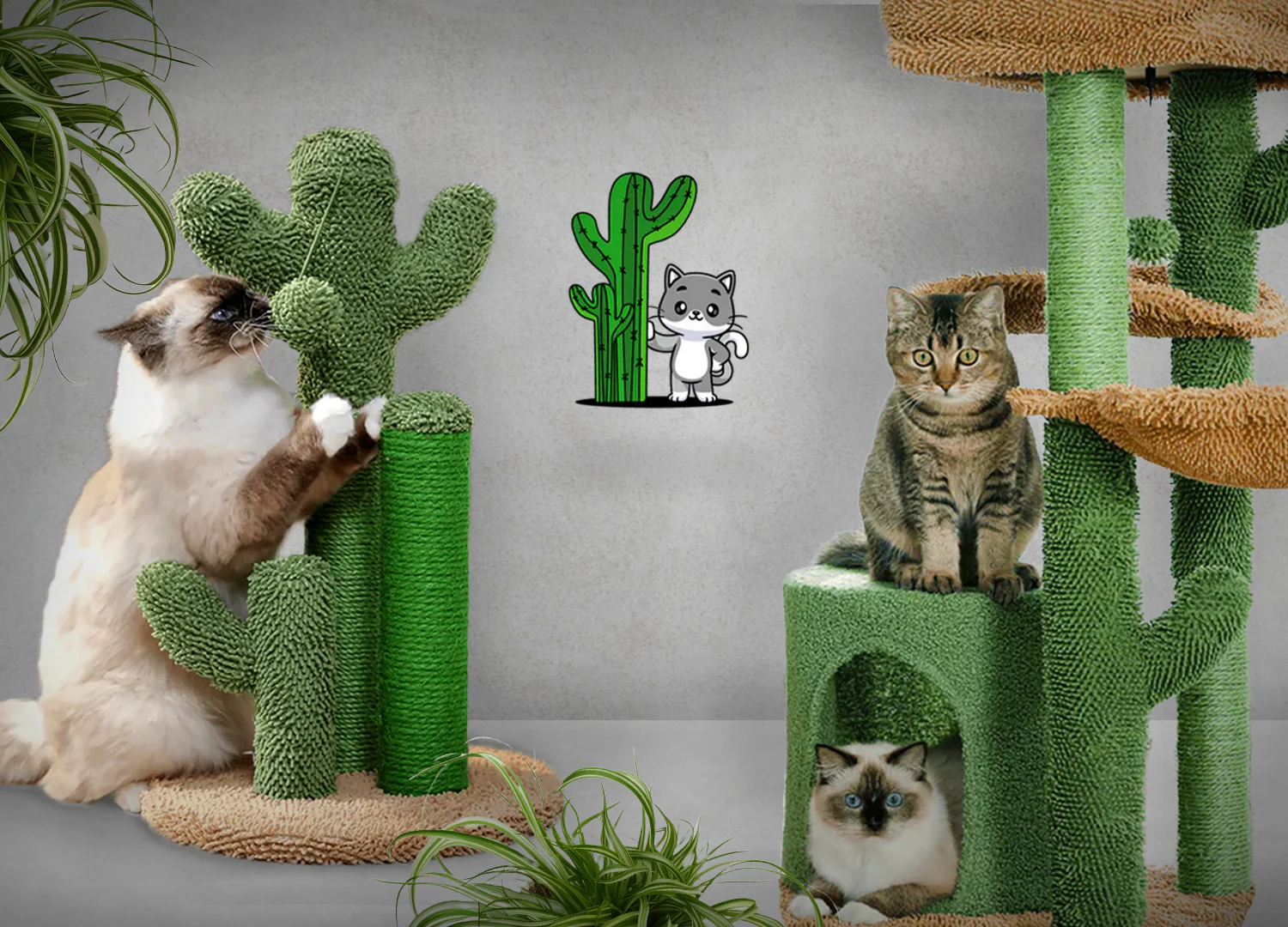 Welcome to Our Store